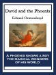 David and the Phoenix (eBook, ePUB) - Bild 1