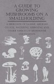 A Guide to Growing Mushrooms on a Smallholding - A Selection of Classic Articles on Soil, Watering, Spawning and Other Aspects of Mushroom Cultivation (Self-Sufficiency Series) (eBook, ePUB)
