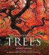 The Beauty of Trees (eBook, ePUB) - Bild 1
