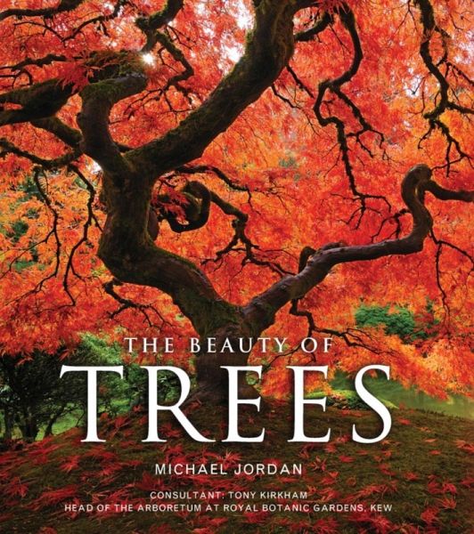 The Beauty of Trees (eBook, ePUB) The Beauty of Trees (eBook, ePUB)