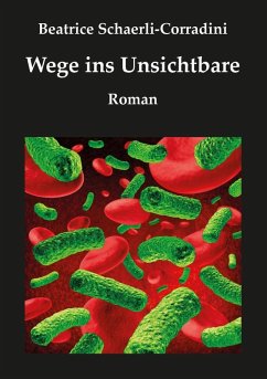 Wege ins Unsichtbare (eBook, ePUB) - Schaerli-Corradini, Beatrice