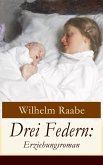 Drei Federn: Erziehungsroman (eBook, ePUB)