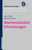 Neuromuskuläre Erkrankungen (eBook, ePUB)