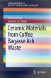 Ceramic Materials from Coffee Bagasse... - Bild 1