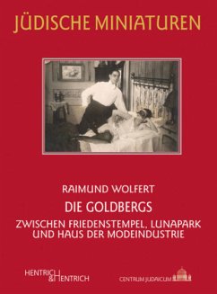 Cover Die Goldbergs