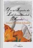Der im Irrgarten der Liebe herum taumelnde Kavalier (eBook, ePUB) Der im Irrgarten der Liebe herum taumelnde Kavalier (eBook, ePUB)