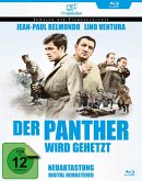 Der Panther wird gehetzt