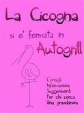 La cicogna si è fermata in Autogrill (eBook, ePUB)