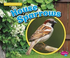 House Sparrows - Amstutz, Lisa J.
