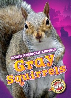 Gray Squirrels - Leaf, Christina