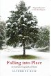Falling into Place - Bild 1