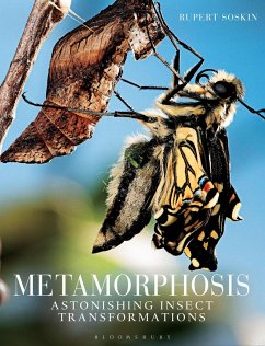 Metamorphosis - Soskin, Rupert