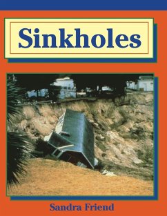 Sinkholes - Friend, Sandra