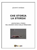 Che storia la storia (eBook, ePUB)