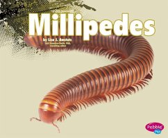 Millipedes - Clapper, Nikki Bruno