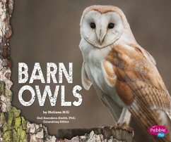 Barn Owls - Hill, Melissa