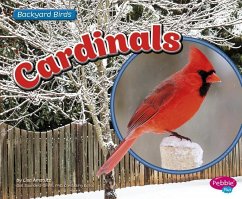 Cardinals - Amstutz, Lisa J.