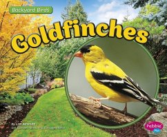 Goldfinches - Amstutz, Lisa J