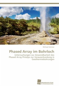 Phased Array im Bohrloch - Sohmer, Michael