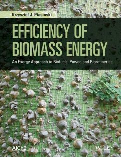 Efficiency of Biomass Energy - Ptasinski, Krzysztof J.