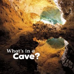 What's in a Cave? - Rustad, Martha E H