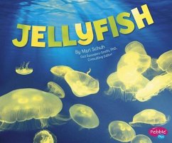 Jellyfish - Schuh, Mari