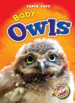 Baby Owls - Leaf, Christina