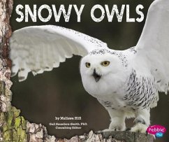 Snowy Owls - Hill, Melissa