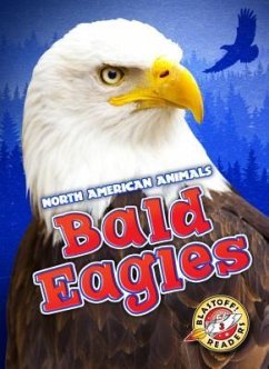 Bald Eagles - Bowman, Chris