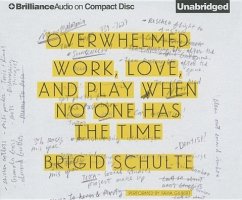 Overwhelmed: Work, Love, and Play When No One Has the Time - Schulte, Brigid