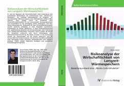 Risikoanalyse der Wirtschaftlichkeit von Langzeit- Wärmespeichern - Gierke, Enrico