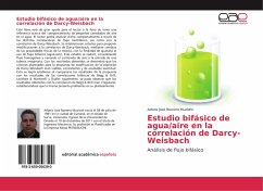 Estudio bifásico de agua/aire en la correlación de Darcy-Weisbach - Romero Muziotti, Adonis José