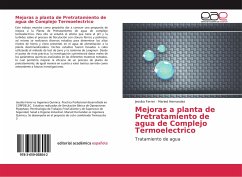 Mejoras a planta de Pretratamiento de agua de Complejo Termoelectrico - Ferrer, Jessika;Hernandez, Maried