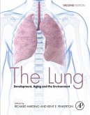 The Lung (eBook, ePUB)