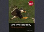 Bird Photography (eBook, PDF)