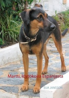 Martti, löytökoira Espanjasta