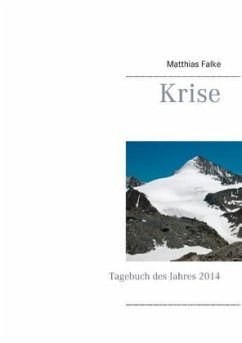 Krise - Falke, Matthias
