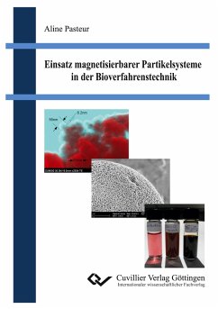 Einsatz magnetisierbarer Partikelsysteme in der Bioverfahrenstechnik - Pasteur, Aline