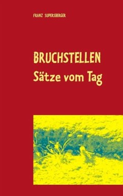 Bruchstellen (eBook, ePUB) Bruchstellen (eBook, ePUB)