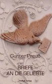 Briefe an die Geliebte (eBook, ePUB)