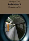 Endstation X (eBook, ePUB)