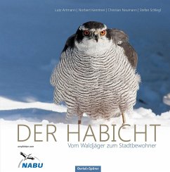 Der Habicht - Artmann, Lutz; Kenntner, Norbert; Neumann, Christian; Schlegl, Stefan
