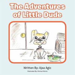 The Adventures of Little Dude