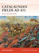 Catalaunian Fields AD 451 - Bild 1