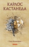 Сила Безмолвия (eBook, ePUB)