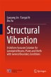 Structural Vibration - Bild 1
