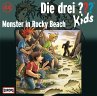 Monster in Rocky Beach / Die drei... - Bild 1