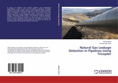 Natural Gas Leakage Detection in Pipelines Using Tricopter