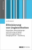 Ethnisierung von Ungleichheit (eBook, PDF)