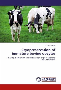 Cryopreservation of immature bovine oocytes